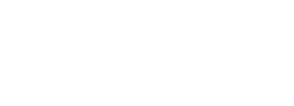 Yellow Zebra Safaris