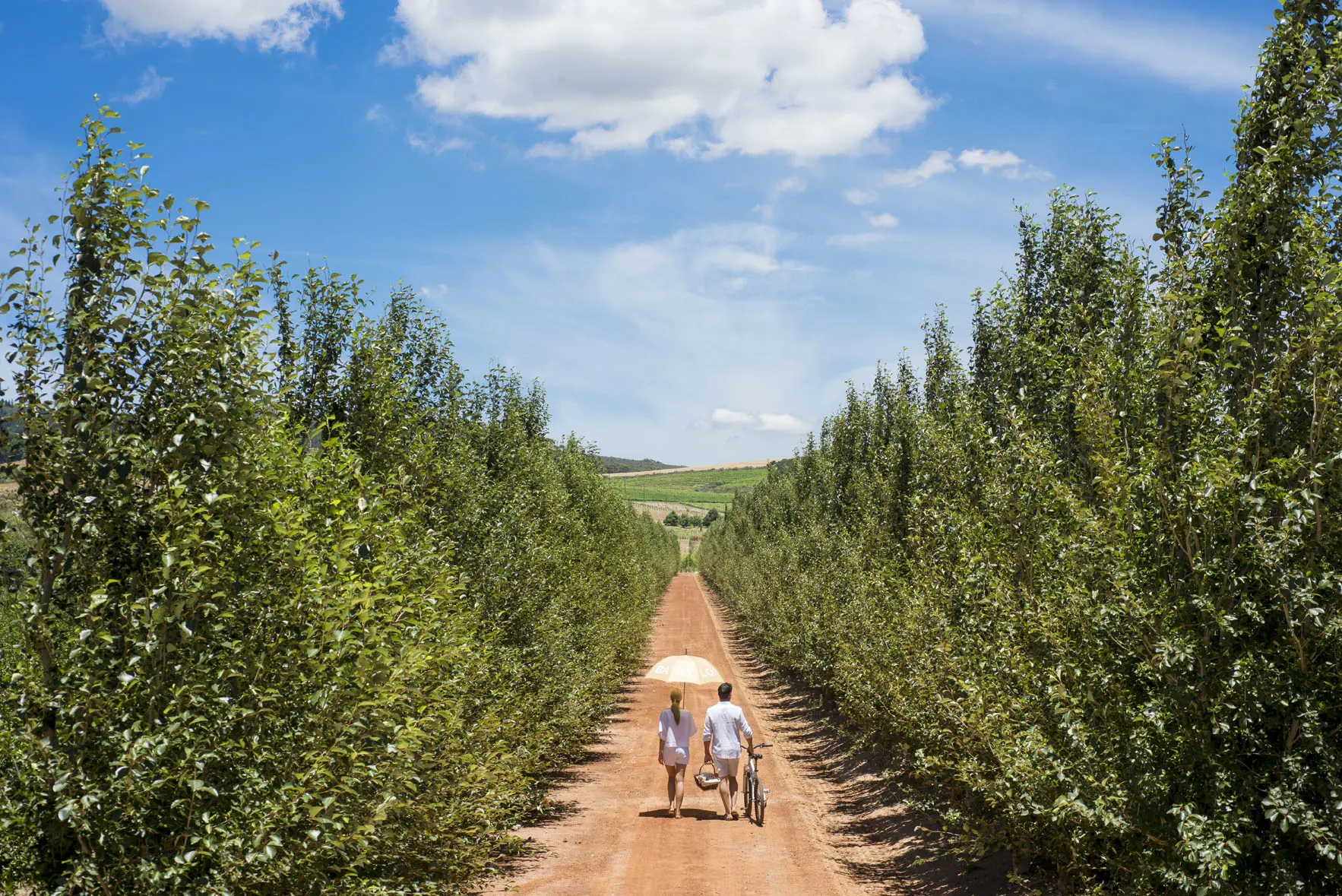 Winelands