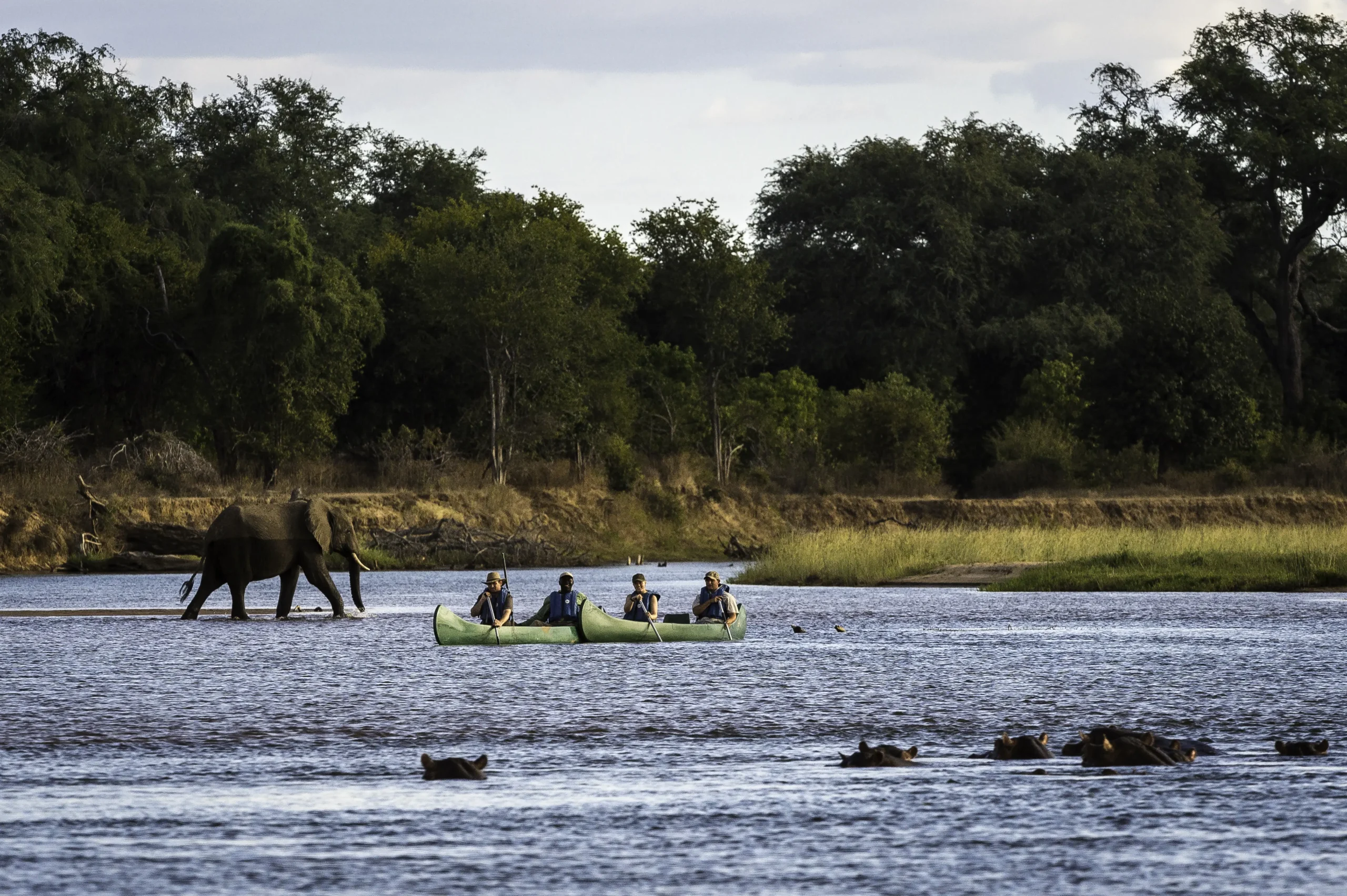 Mana Pools