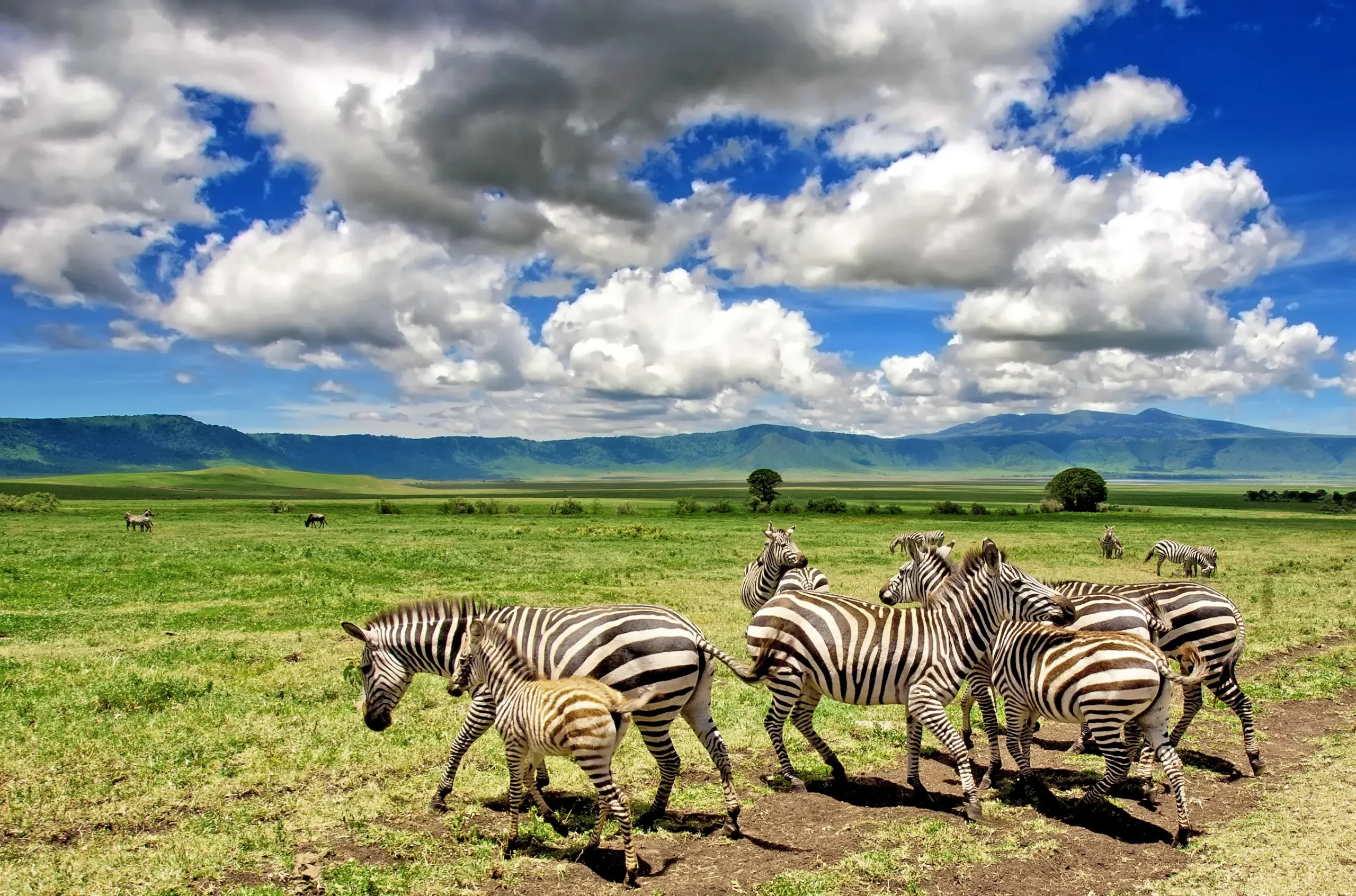 Ngorongoro Crater
