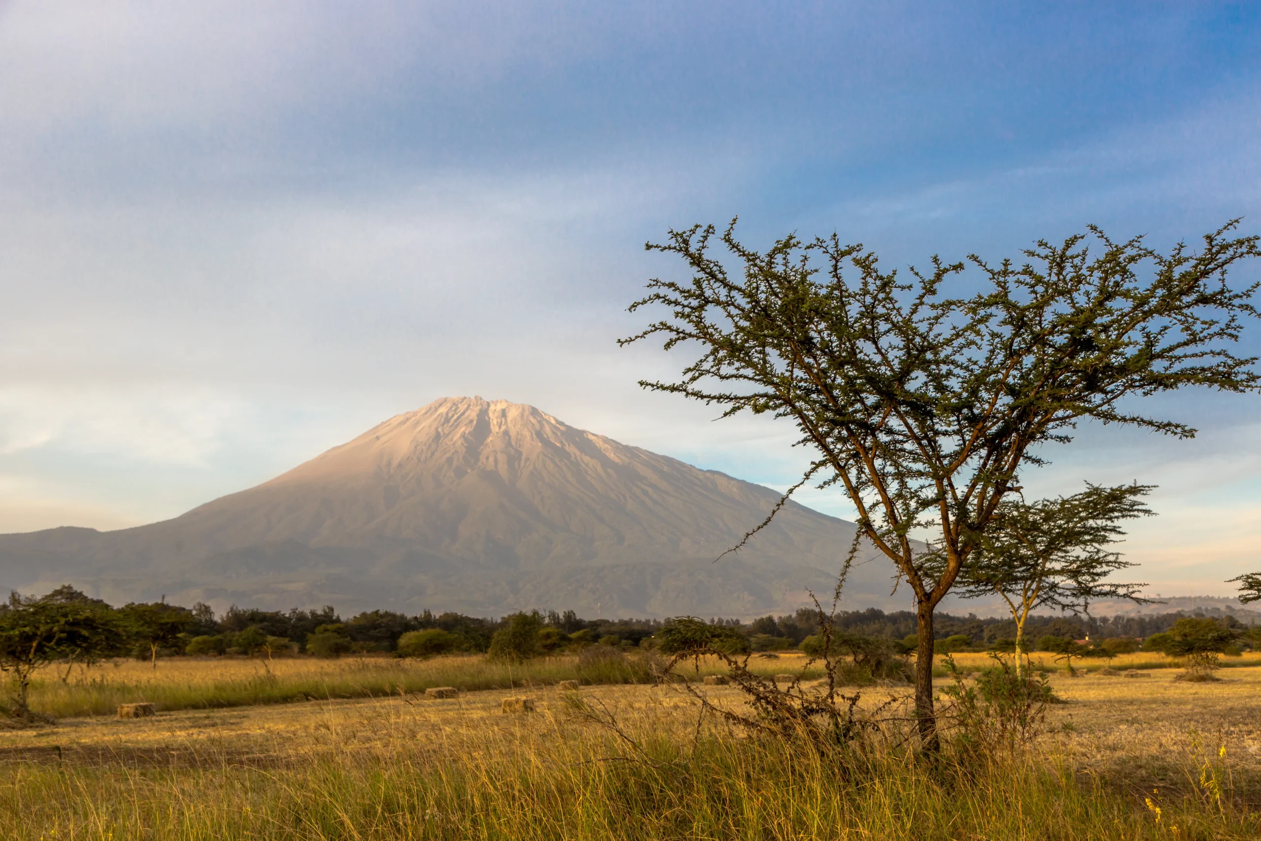 Arusha