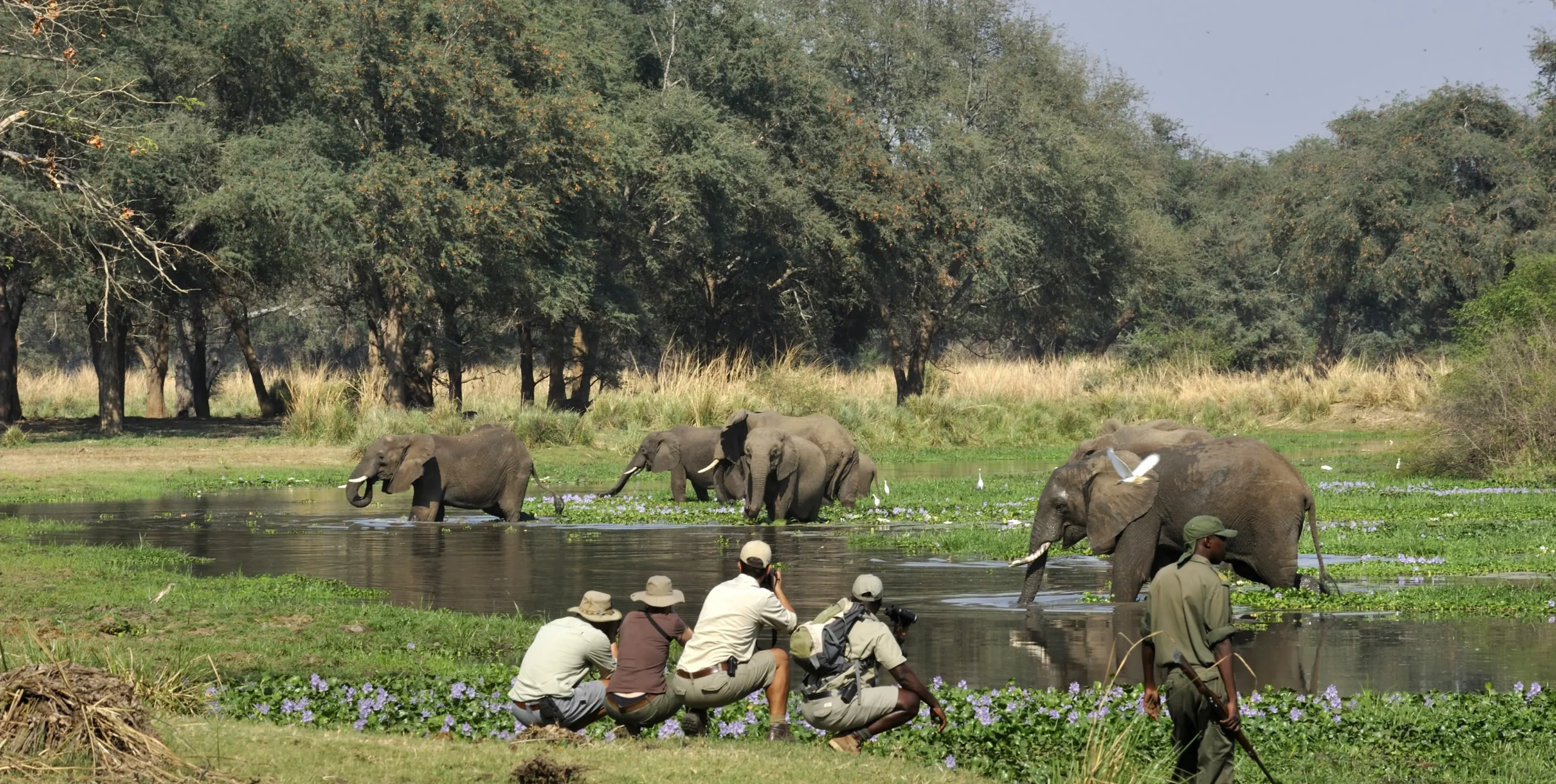 Lower Zambezi National Park