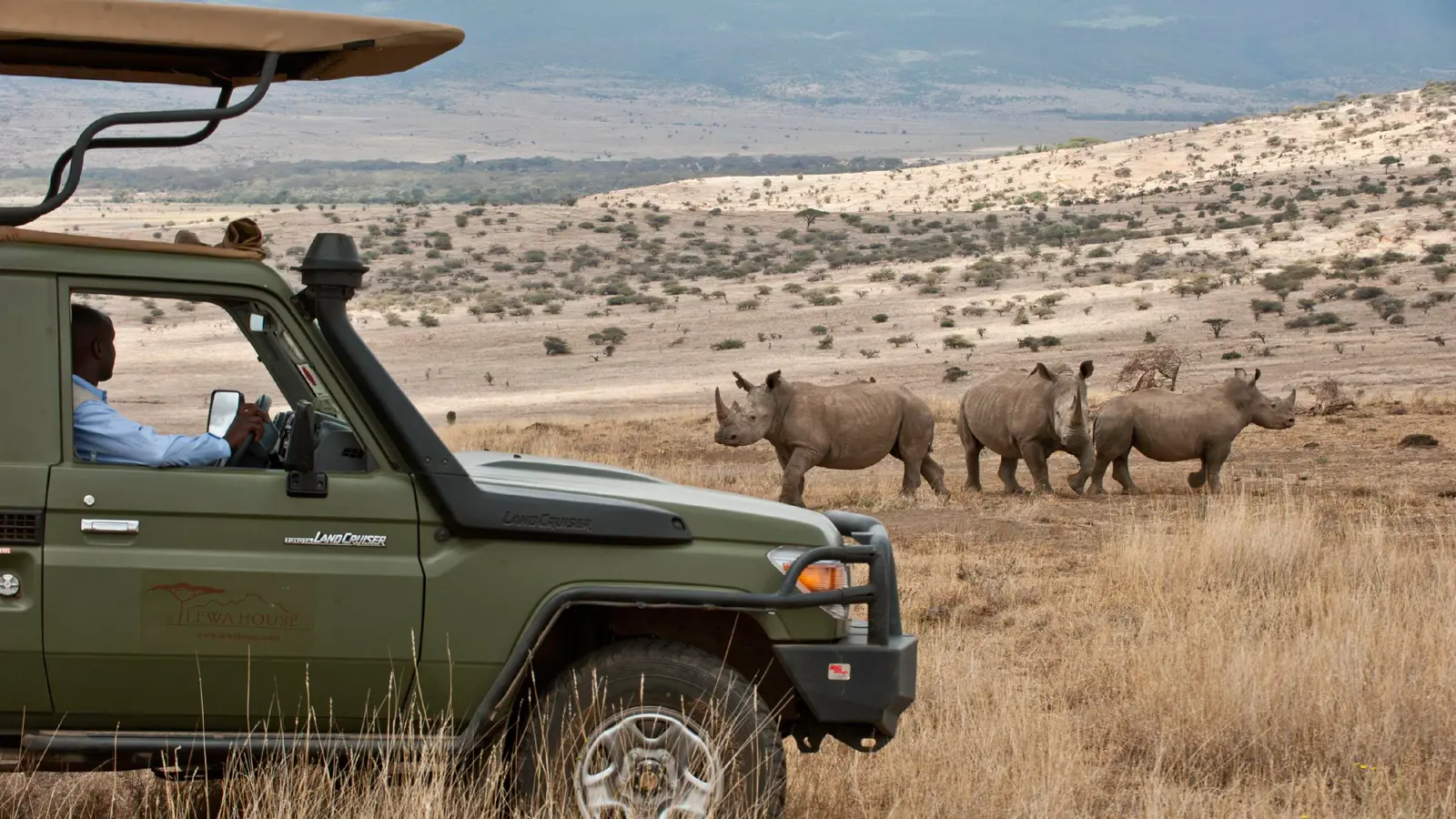 Lewa–Borana Landscape
