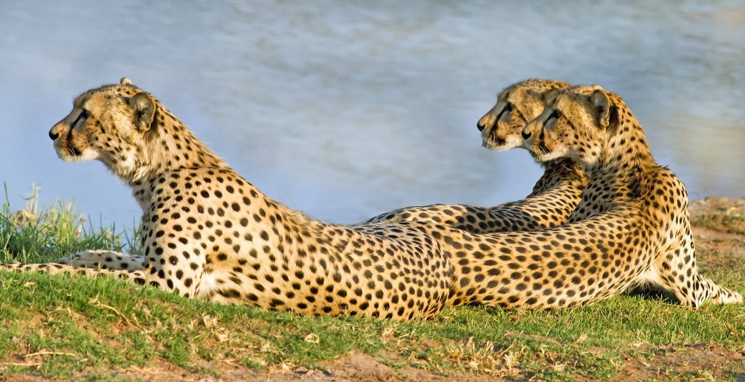Hwange National Park