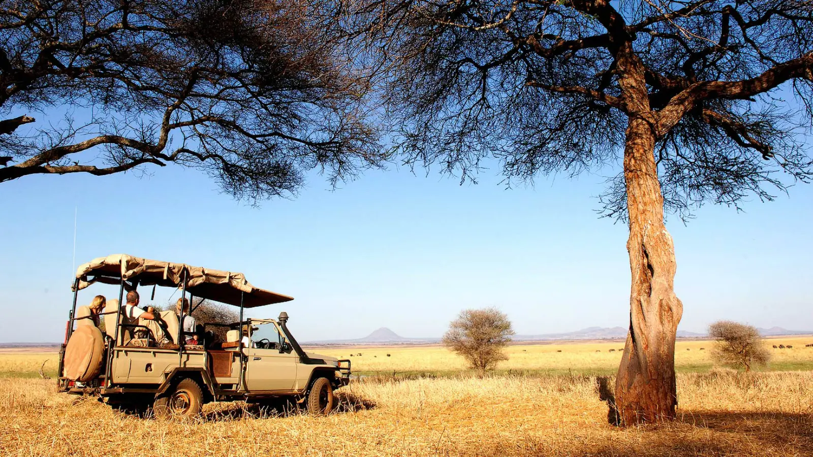 Tarangire National Park