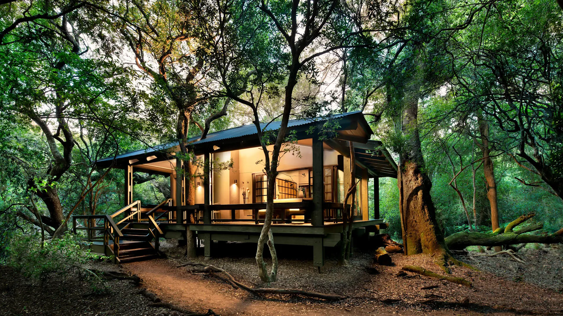 Phinda Forest Lodge
