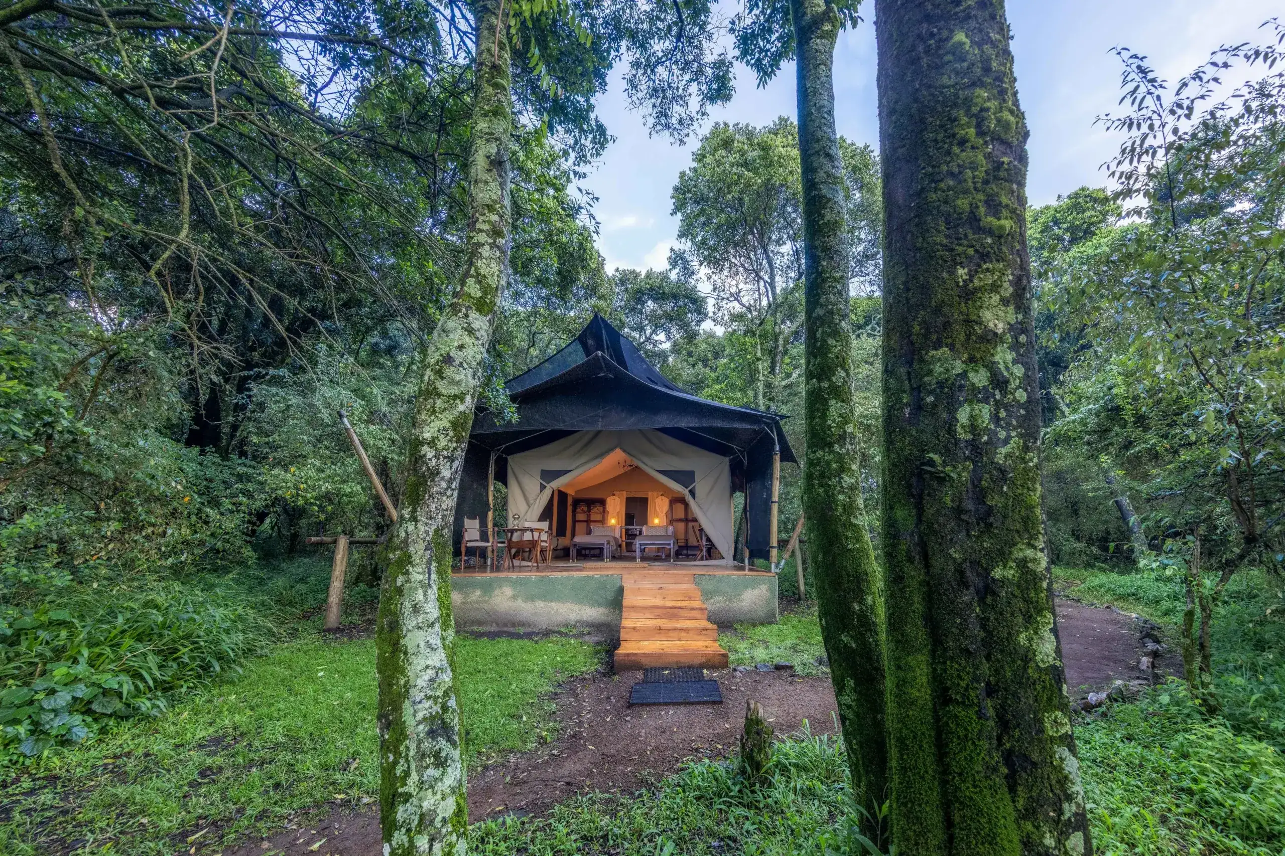 Elephant Pepper Camp