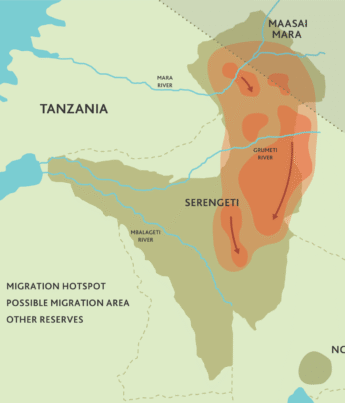 A map of the Serengeti highlights the November wildebeest migration hotspots in red - Yellow Zebra Safaris