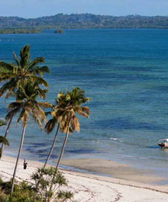 058 WAMBAA BEACH 2