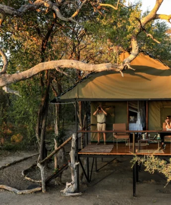 Saddlebill tents, Bomani Tented Lodge, Hwange, Zimbabwe