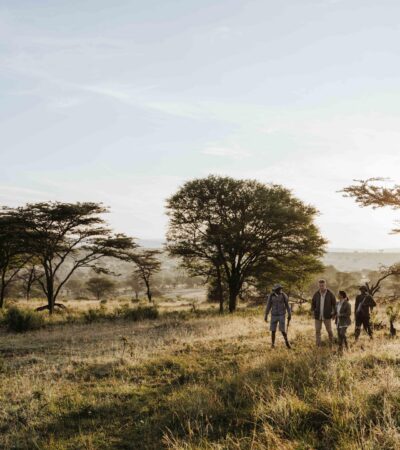 Guided walking safari across open grassland, East Africa, Yellow Zebra Safaris
