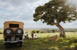 Game drive stop in open grassland, Serengeti, Tanzania, Yellow Zebra Safaris