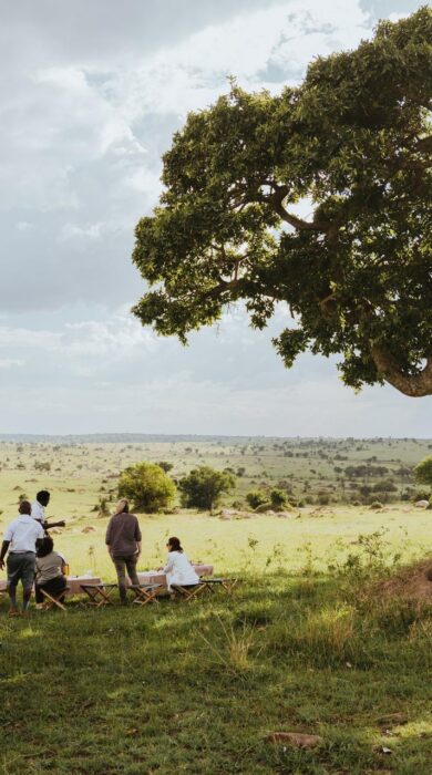 Game drive stop in open grassland, Serengeti, Tanzania, Yellow Zebra Safaris
