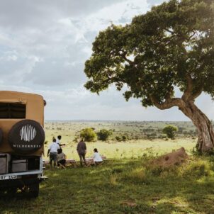 Game drive stop in open grassland, Serengeti, Tanzania, Yellow Zebra Safaris
