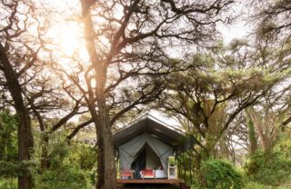 Guest suite in forest setting, Ngorongoro, Tanzania, Yellow Zebra Safaris