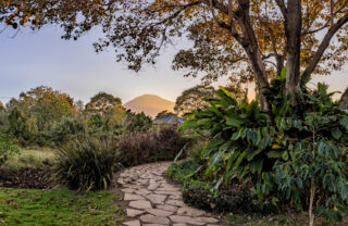 Garden path with Mount Kilimanjaro view, Arusha, Tanzania, Yellow Zebra Safaris