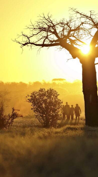 walking safari at sunset, tanzania - Yellow Zebra Safaris