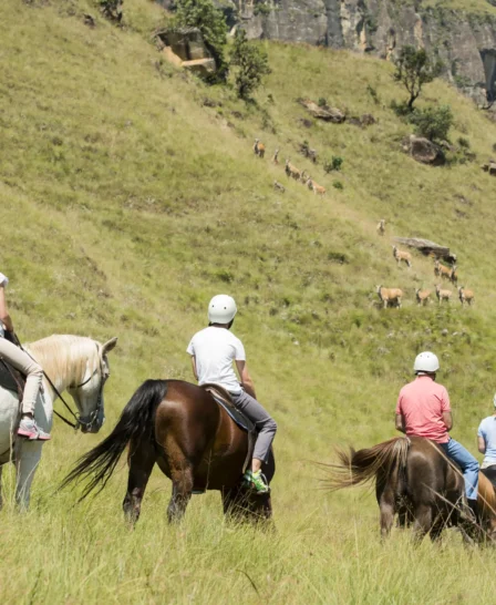 horse riding safaris, drakensberg mountains, south africa