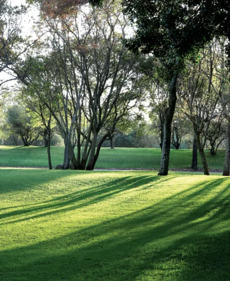the saxon hotel garden, johannesberg, south africa safaris