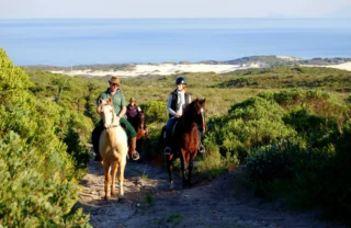 horse tours, grootbos private nature reserve, south africa