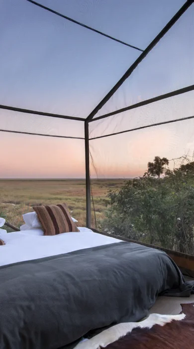 linyanti expeditions botswana double tent room