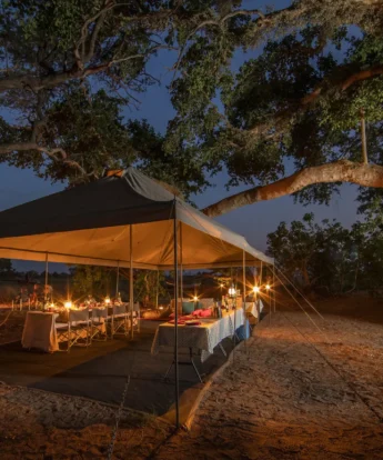 Dining Area, Beagle Expeditions, Okavango Delta, Botswana