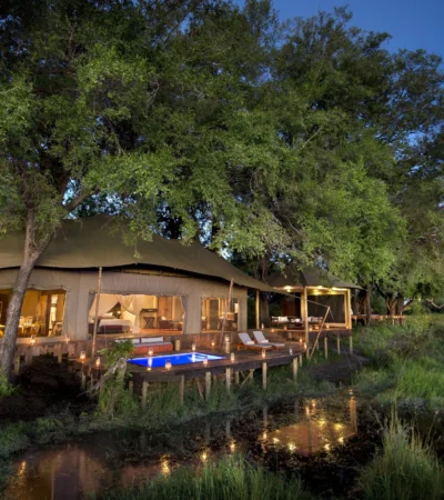 dubaplains guesttent privatepoolnight