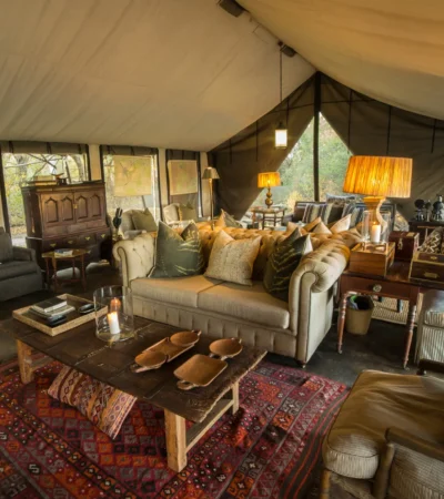 main area machaba botswana yellow zebra safaris
