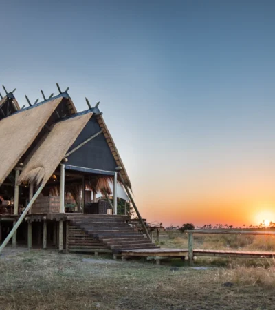 selinda camp botswana sun rise yellow zebra safaris