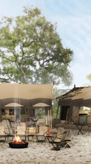 migration expeditions outside view Botswana yellow zebra safaris