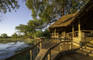 Wilderness Safaris Savuti (103)
