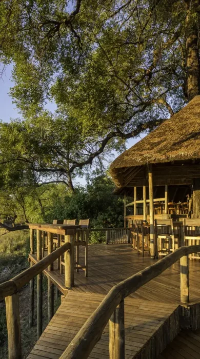Wilderness Safaris Savuti (103)