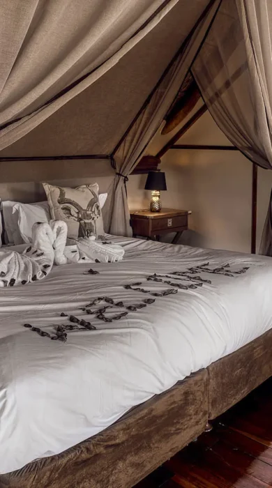 bed, deception valley lodge, central kalahari, botswana