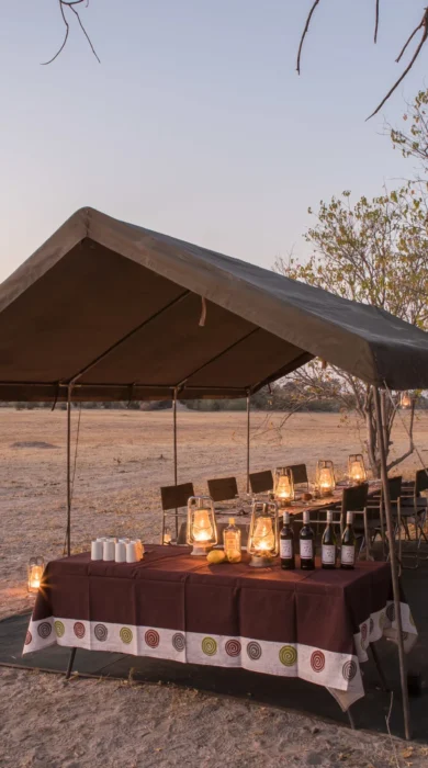 letaka safaris main tent botswana yellow zebra safaris