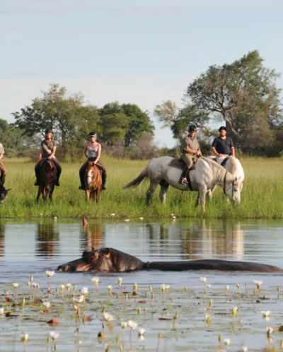 Horseback Safari, Macatoo Camp, Okavango Delta, Botswana