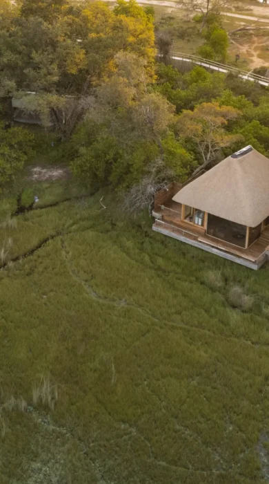 aerial view, vumbura plains, okavango delta, botswana