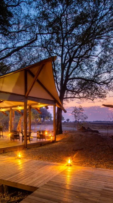 kwara camp main area sunset botswana yellow zebra safaris