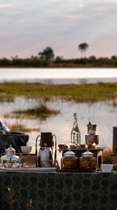 bush breakfast, mokoro, abu camp, okavango delta, botswana
