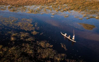 mokoro, abu camp, okavango delta, botswana