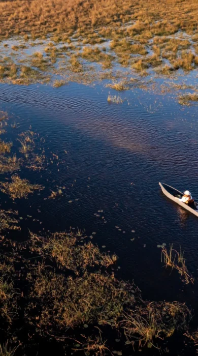 mokoro, abu camp, okavango delta, botswana
