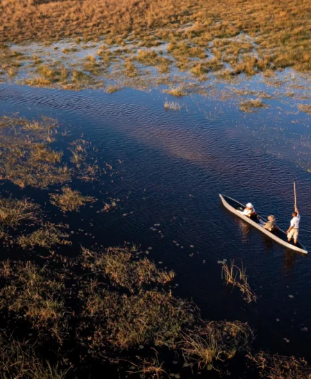 mokoro, abu camp, okavango delta, botswana