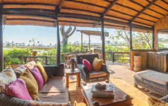 delta camp main area botswana yellow zebra safaris