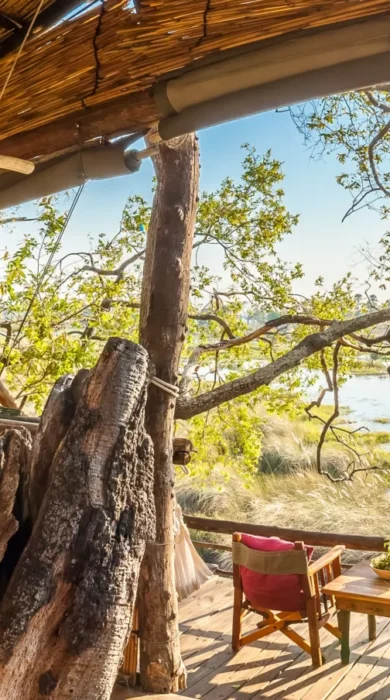 delta camp double botswana yellow zebra safaris