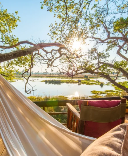 delta camp hammock botswana yellow zebra safaris