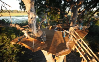 macatoo camp treehouse