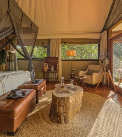 kanana bedroom tent view botswana yellow zebra safaris