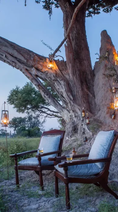 kanana bush dinner romance botswana yellow zebra safaris