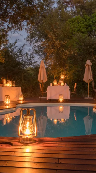 kanana pool botswana yellow zebra safaris