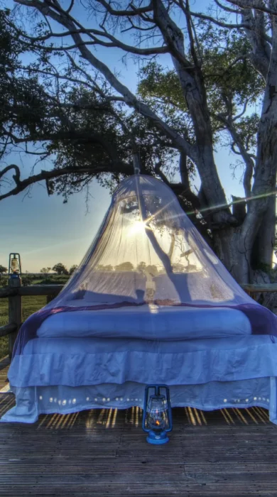 kanana sleep out botswana yellow zebra safaris