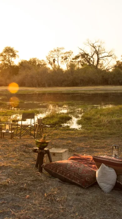 sundowners machaba camp botswana yellow zebra safaris